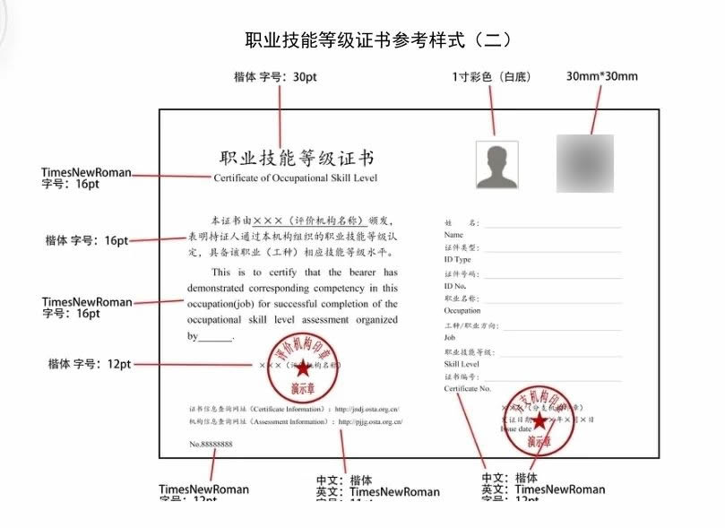 职业技能等级证书