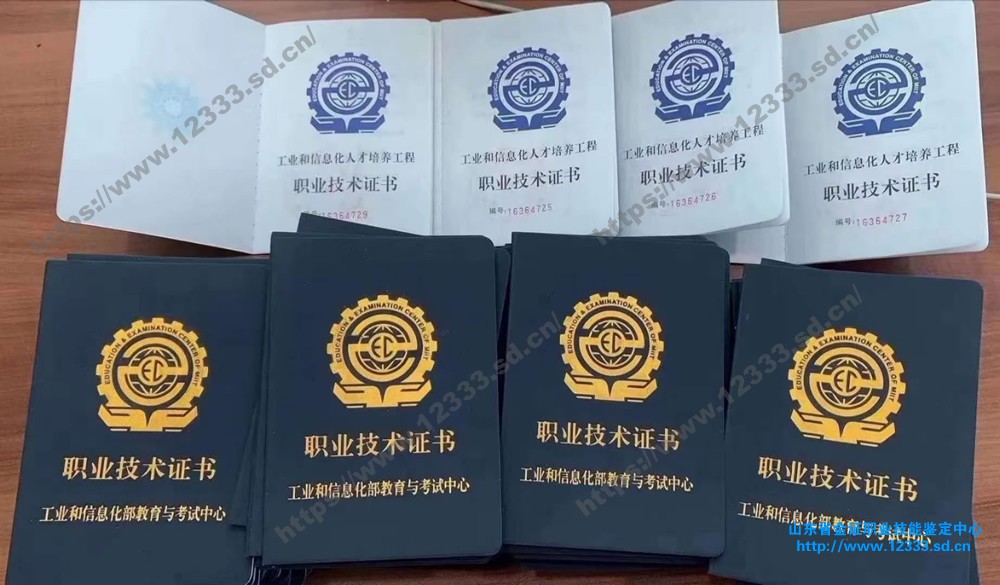 职业技术证书2.JPG
