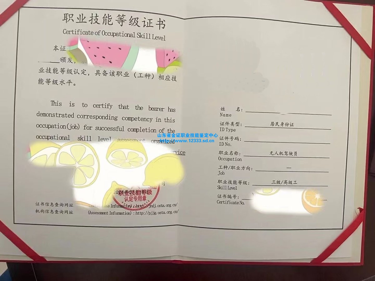 无人机驾驶员-3级.jpg