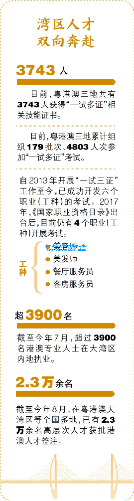 1262850.png